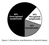 HSV-2 Pie Chart